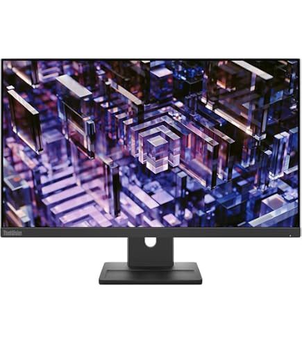Amazon.com: Lenovo ThinkVision E24q-20 23.8